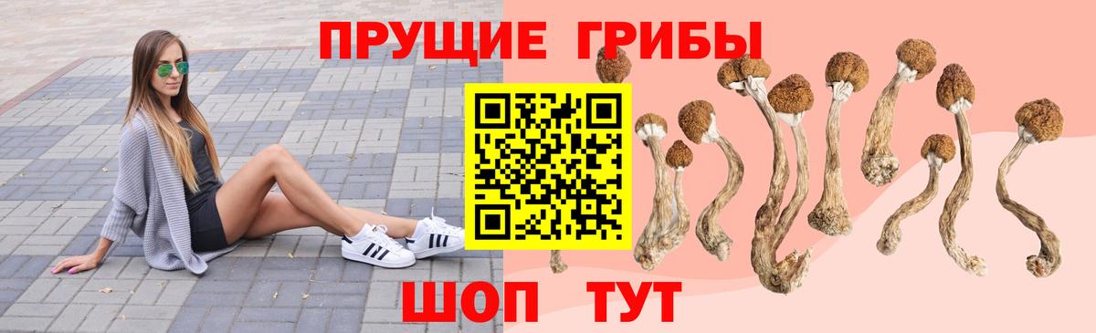 Чехов  Псилоцибиновые грибы MAGIC MUSHROOMS  Псилоцибиновые грибы GOLDEN TEACHER  Вход с VPN 